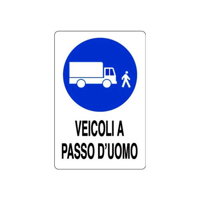 VEICOLI A PASSO D'UOMO SCATOLATO 40X60